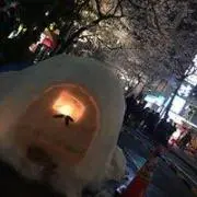 のかさき