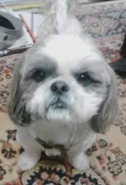 Image of ほっちゃん2（Profileも見てね）