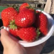 ごま塩