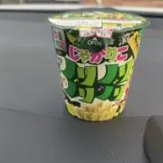 松ぼっくりの画像