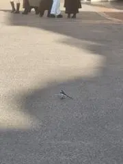 桜内莉子 完成品痛バ(70個) - メルカリ