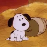 ぐっち