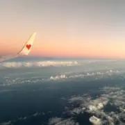 ジョーズママの画像