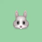 うさぎの画像