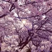 とも