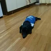 naru