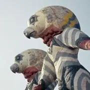 クロスケの画像