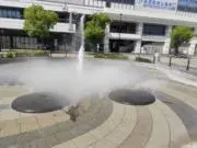 こっこ