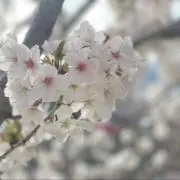 Meeeの画像