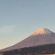 はちの画像