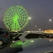 しょうの画像