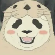 ぽんの画像