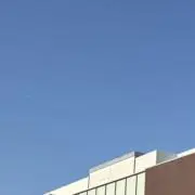 ゆみの画像