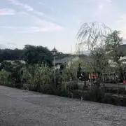 スター