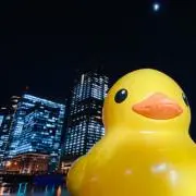 Pereo60