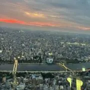 ヤマオクの画像