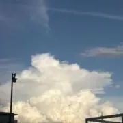 sss