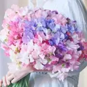 みなみ