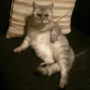 こっこ☆