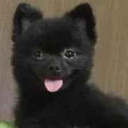 うみ\(^0^)/