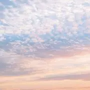 ¨̮⃝の画像