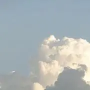 mumuの画像