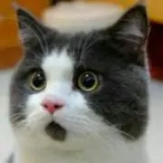 .mm.の画像