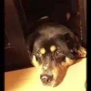 Yuziの画像