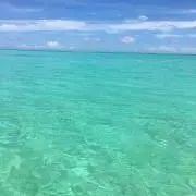 ちぃたん