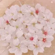 ぷりんの画像