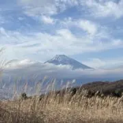 mikinkoの画像