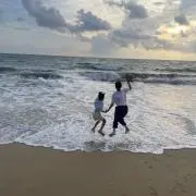 lovedogの画像
