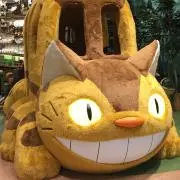 Limeee♪♪の画像