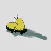 マイの画像