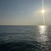 さいち⭐️の画像