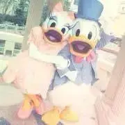 やまるどの画像