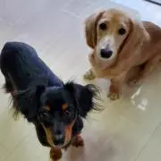 イブ&ラブ