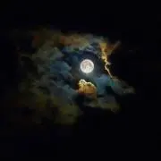 ネコ丸★の画像