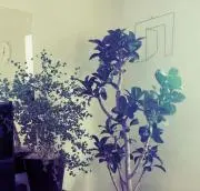 yama.の画像