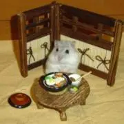 ズズの画像