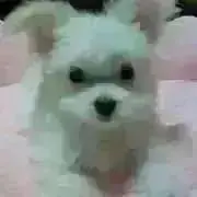 ♥️なお♥️プロフ見てね♥️の画像