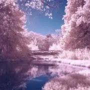 バリバリジョニーの画像