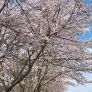 てぃの画像