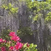 retyの画像
