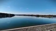 リオの画像