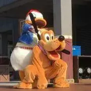 Knowの画像
