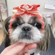 ☆ゆぃ☆プロフィールも御確認お願いしますの画像