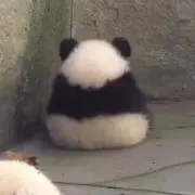 ゆーぺいの画像