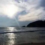かの画像