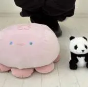 lonの画像
